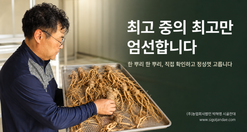 엄선.png