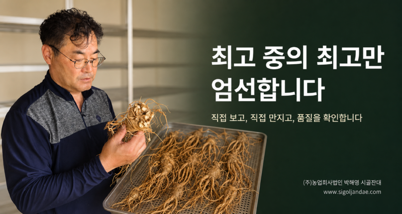 엄선1.png