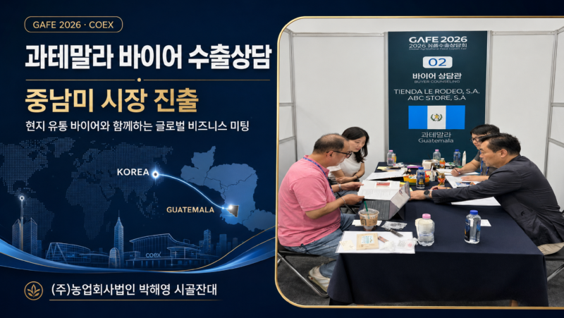 과테말라 상담.png